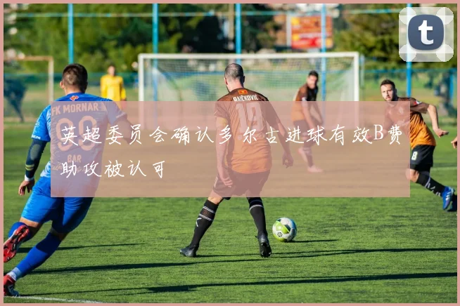 英超委员会确认多尔古进球有效B费助攻被认可