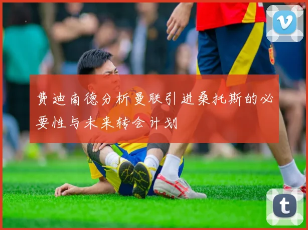 费迪南德分析曼联引进桑托斯的必要性与未来转会计划